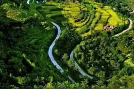 夏至已至，这个盛夏，在山东如何度过？图片