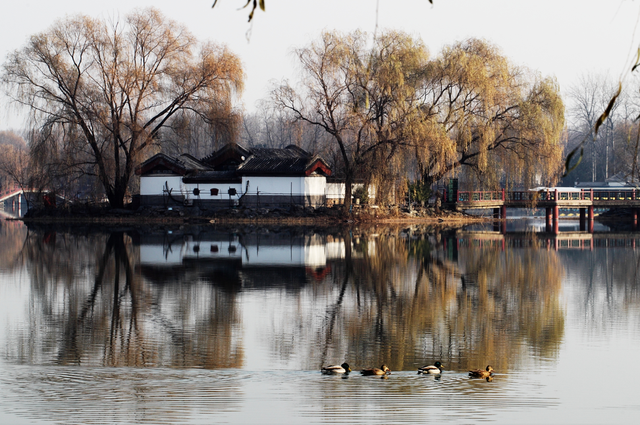 冬天来圆明园看海，邂逅一场宁静！