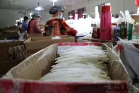 当羽毛球价格涨幅超过黄金……图片