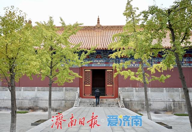 黄绿交织，邂逅文庙别样秋韵