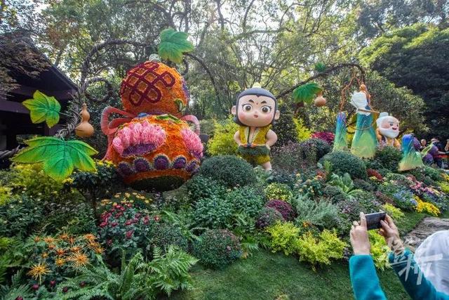 从8点堵到现在！杭州顶流回归