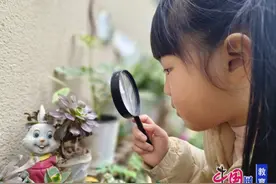 童心护绿意，环保驻心田 泸州市云峰路幼儿园开展植树节主题活动图片