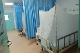 老人感染基孔肯雅热更严重吗？医生：多为中低热，核酸转阴慢图片