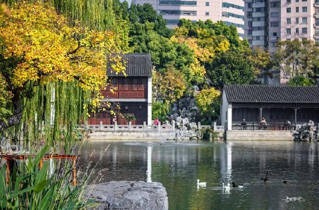 怎么能错过秦淮的秋天呢？