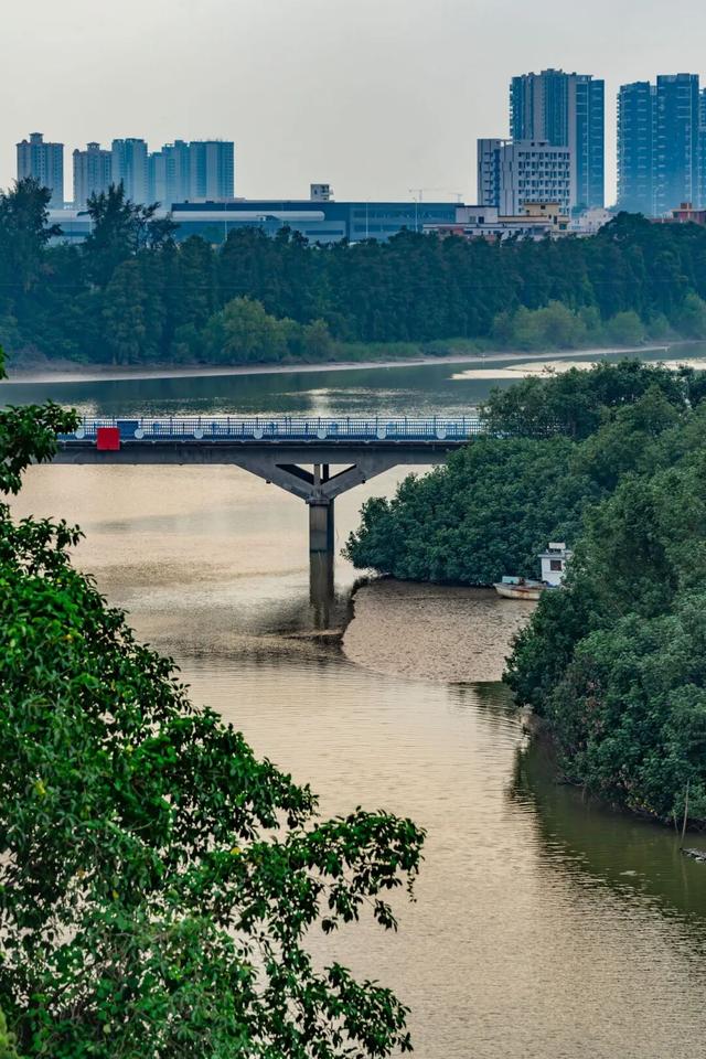 祖屋潮改变民宿！贤鲁岛上的“家”，免费住→