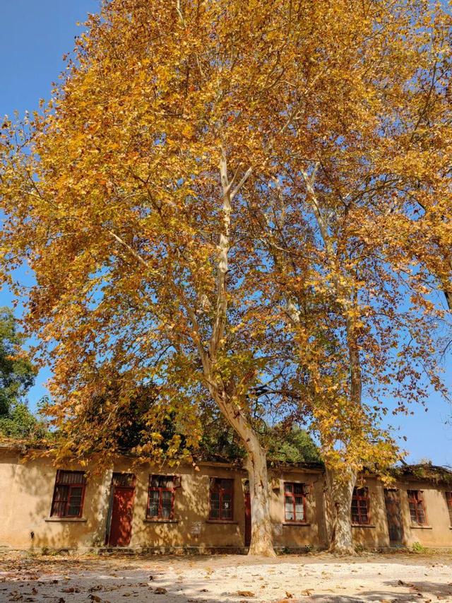 娄底：藏不住的诗意冬景，每帧都美到“心巴”上～