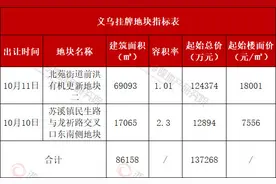 容积率1.01！义乌市中心重磅宝地来袭图片