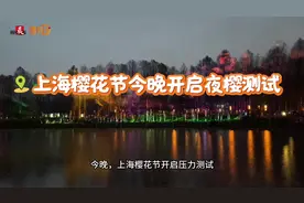 众多市民冒雨体验樱花节夜樱测试，现场视频来了视频封面