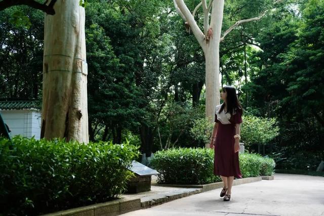 上新！珠海“顶流爱心树”浪漫升级，出片率100%！