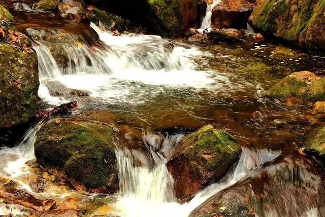 你的周末含“秋”量是多少？来秦岭测测！