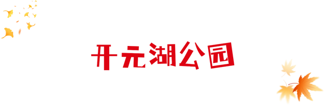 报告！洛阳这里的乌桕红了！