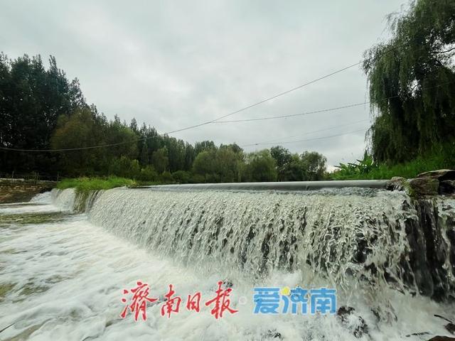 一年四季 泉在济南丨雨霁初晴 湿地公园展绝美“生态画卷”