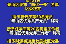 泰山区“两优一先”名单公布→图片