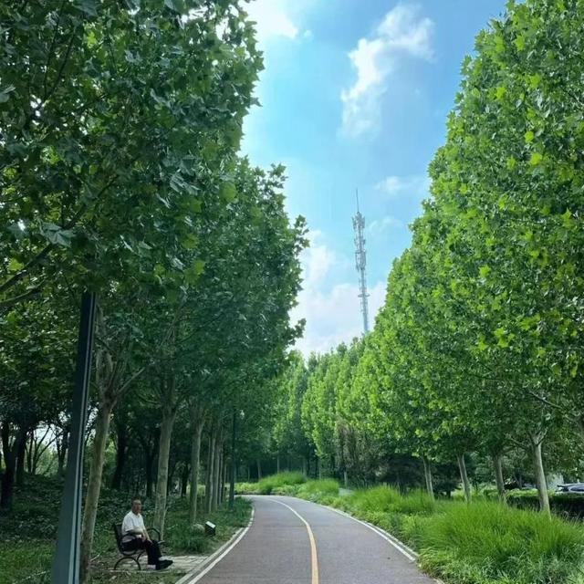 亦城寻秋：那些藏在光影与烟火里的→