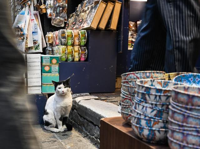 繁华的伊斯坦布尔独立大街