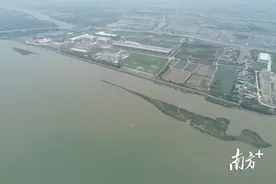 深读中山｜无名沙洲“消失”之后图片
