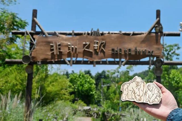 突破18亿！“真实版”就在南京