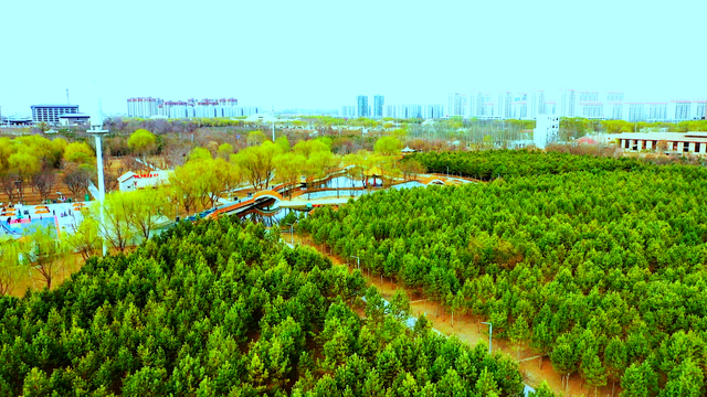 组图丨凉州植物园：夏荫消暑 荷风送香