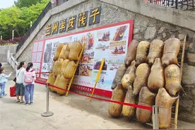 搭乘特色交通工具 一览黄河两岸风光 水上公交带火兰州水上经济图片