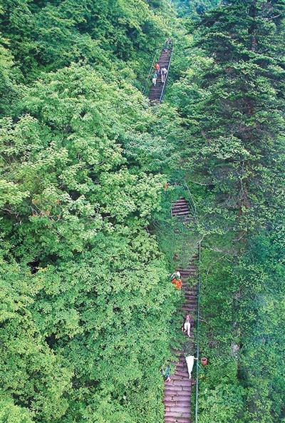 去山地避暑（文旅新象）