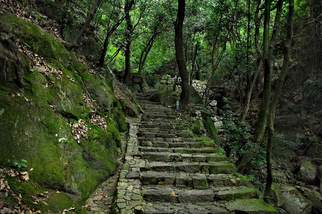 写点生活｜给生活支根棍儿
