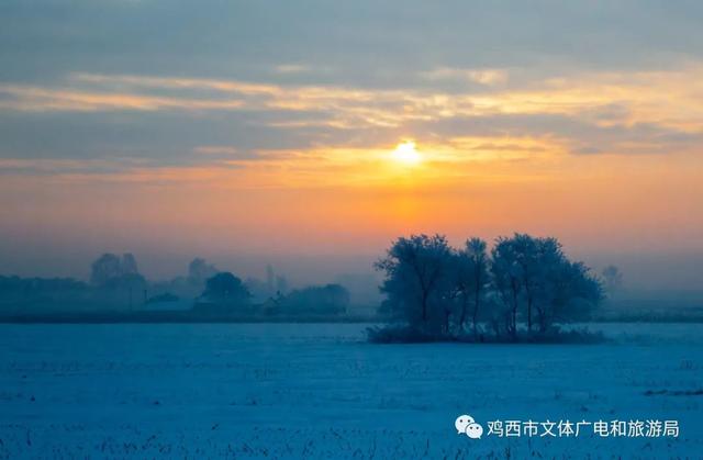 鸡西、肇庆两地联动！共谋文旅体协同发展→