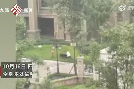 兽医称从业10年仍害怕罗威纳犬：它咬合力惊人，可能两三人都掰不开它的嘴图片