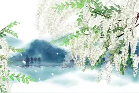5月吃点“护心花”，泻心火、清肝火、坚肾水图片