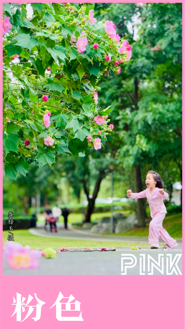 收藏这套双流秋天专属色卡，跟着拍，出片率100%