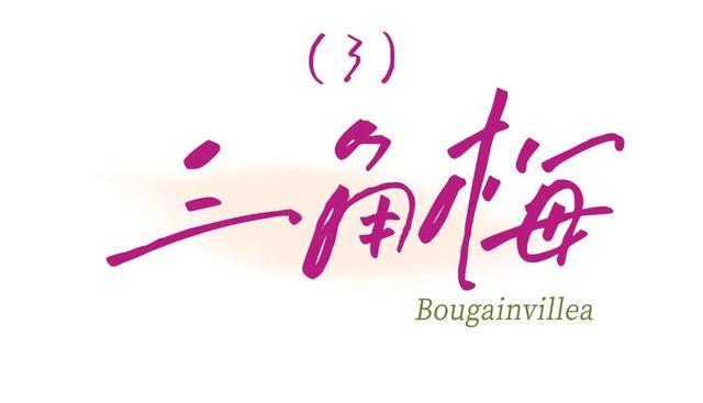 我宣布：高明的秋天开始了！