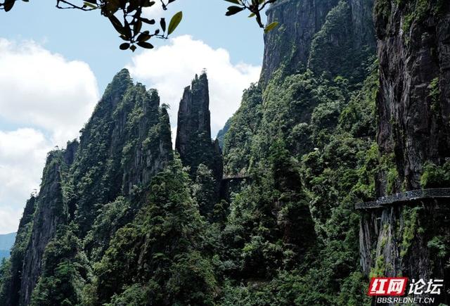 湘粤交界的绿宝石，探秘莽山国家森林公园的自然传奇