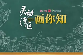 地球唯一的蓝血“活化石”｜灵动湾区·画你知图片