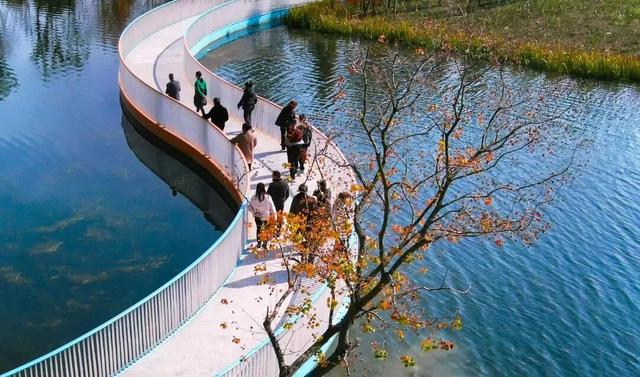 抢票式晒太阳！解码彭州“限量版暖阳”的私藏地图