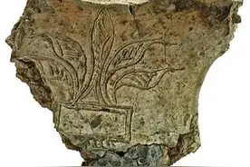 春暖花开“种花家”图片