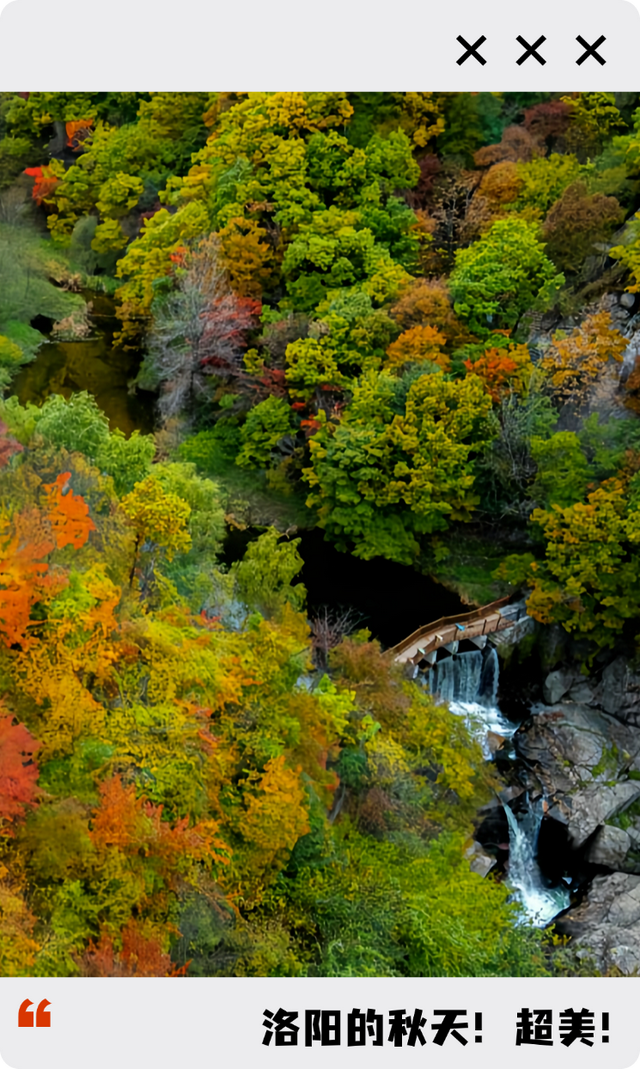 亮相央视！洛阳这些赏秋地，太美！