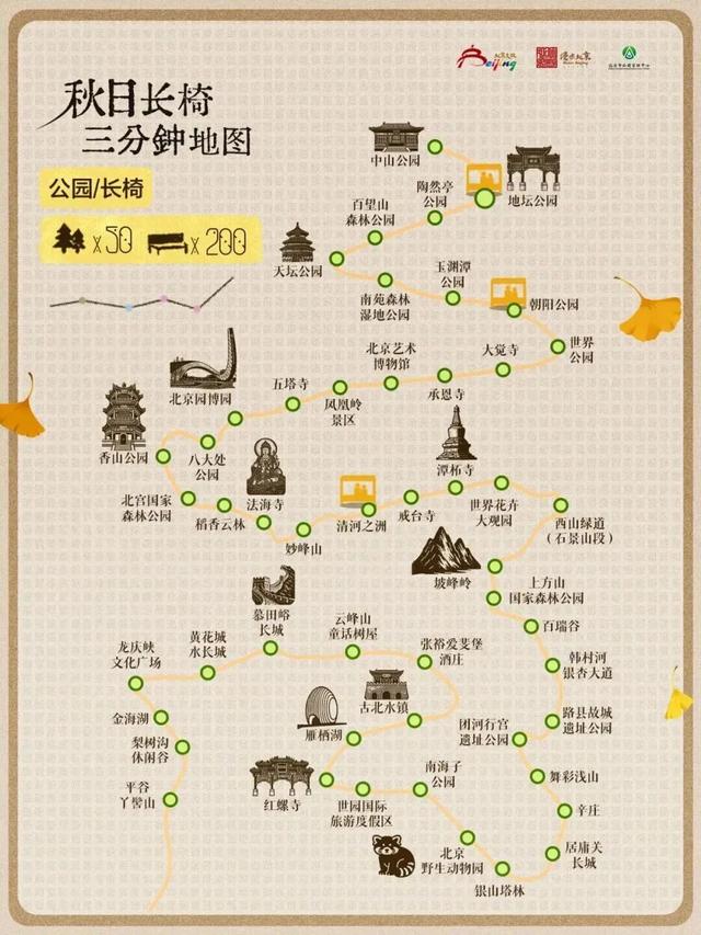 北京的秋日浓度正在拉满！这次把浪漫铺到了眼前