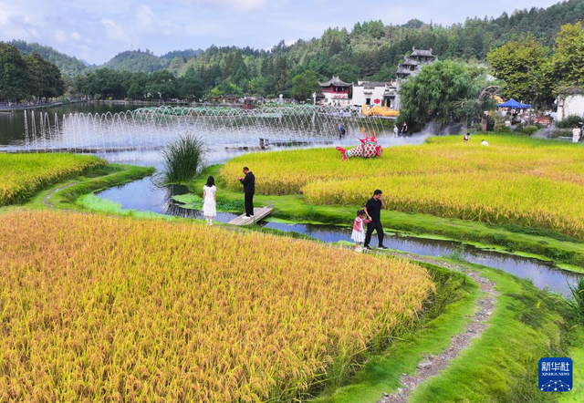 世界遗产村 国庆文旅热
