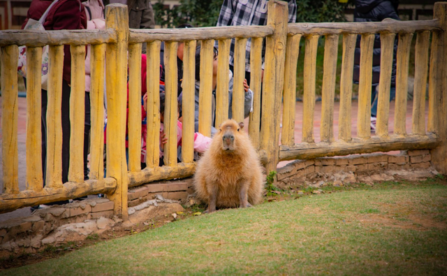 桂林融创乐园海世界，这样玩！