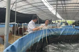 湖北孝昌农商银行打造特色产业链 树立“三农”新样板图片