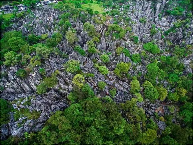 潮玩千岛湖 | 千岛湖石林景区