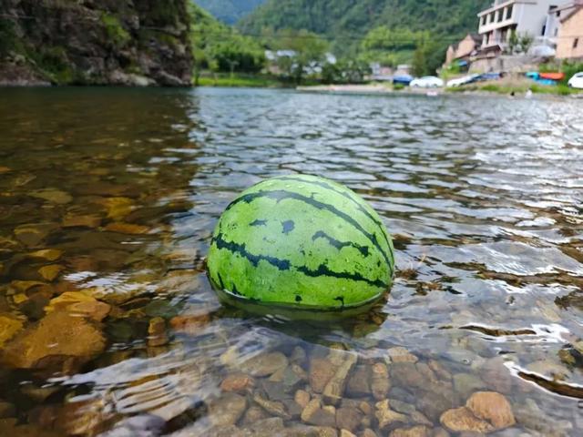 暑期余额告急？莲都这地成了玩水新宠