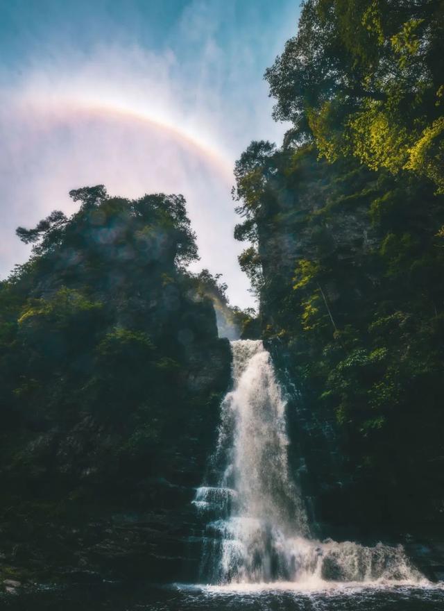 免门票！带你了解如何玩转避暑胜地大明山