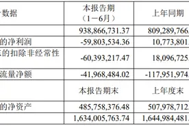 迪生力：2023年上半年亏损5980.35万元图片