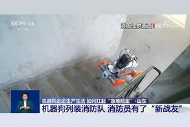 机器狗的技能值已经拉满：火场救援、南极作业、陪伴护理……图片