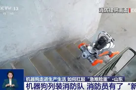 机器狗的技能值已经拉满：火场救援、南极作业、陪伴护理……图片