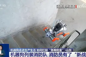 机器狗的技能值已经拉满：火场救援、南极作业、陪伴护理……图片