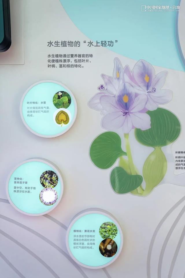 阳山自然驿站矩阵落成，全域科学体验线路启用