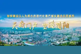 简阳市乡村振兴专家人才“组团式”巡回服务工作会召开图片