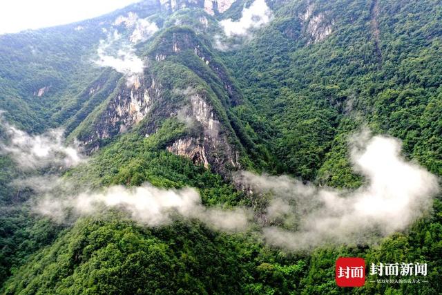 是“穴居”也是“洞房” 藏身峡谷绝壁的这座吊脚楼有600岁了？