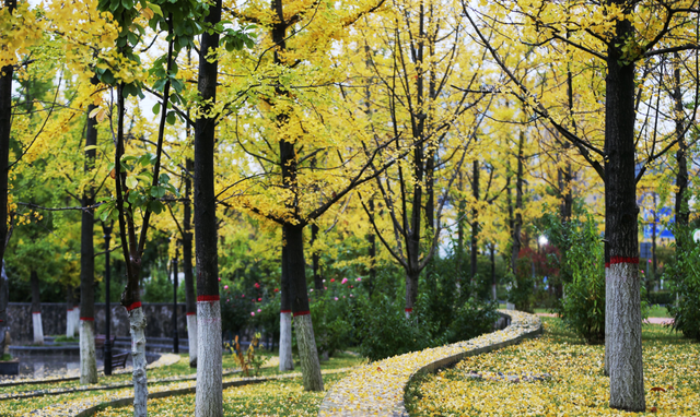 一键收藏！商州区精品旅游线路→